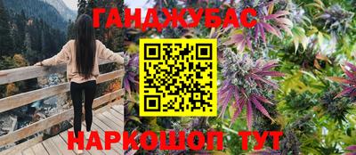 СК Моздок