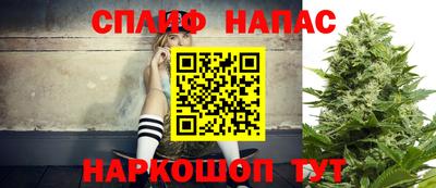 СК Моздок