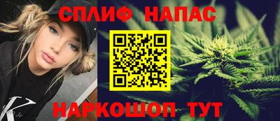 СК Моздок