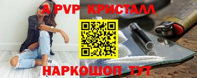 СК Моздок