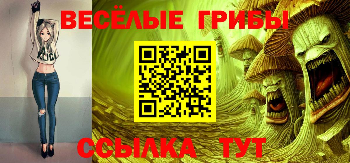 Галлюциногенные грибы Cubensis Шебекино