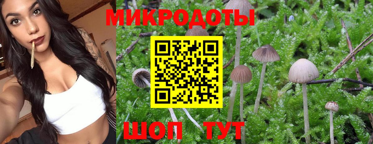 наркота  Псилоцибиновые грибы MAGIC MUSHROOMS  Вход с VPN  Шебекино  Галлюциногенные грибы мухоморы 